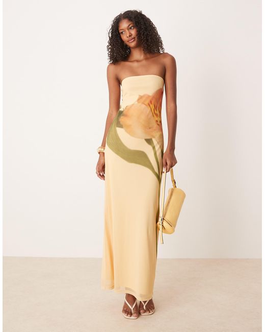 ASOS Natural Mesh Floral Placement Printed Bandeau Maxi Dress