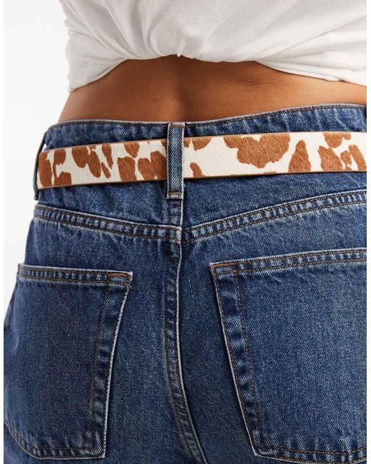 Levi's Blue Skinny Cow Print Belt