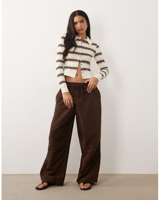 Bada Bing Lioness de color Brown