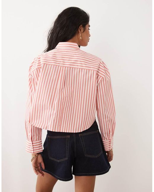 Calvin Klein Pink Cotton Poplin Cropped Shirt