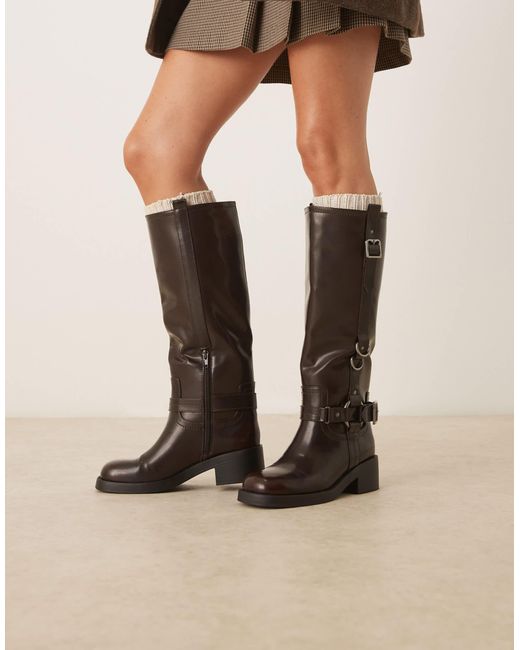 Cobra - bottes hauteur genou avec harnais et boucles avec détails métalliques argentés - bordeaux ASOS en coloris Black