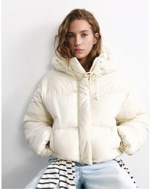 Pull&Bear Cropped Pufferjack Met Capuchon in het Natural