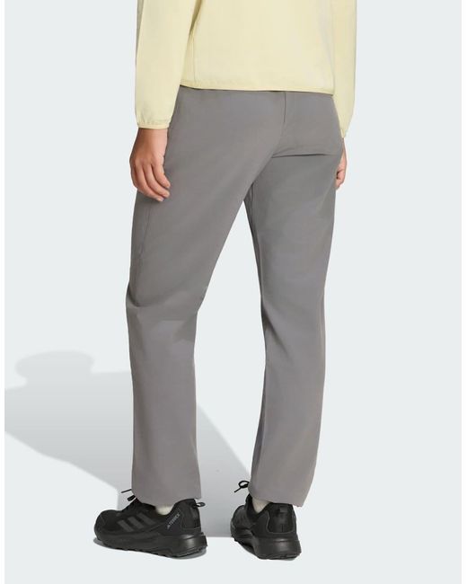 Adidas Originals Gray Terrex Multi Liteflex Pants