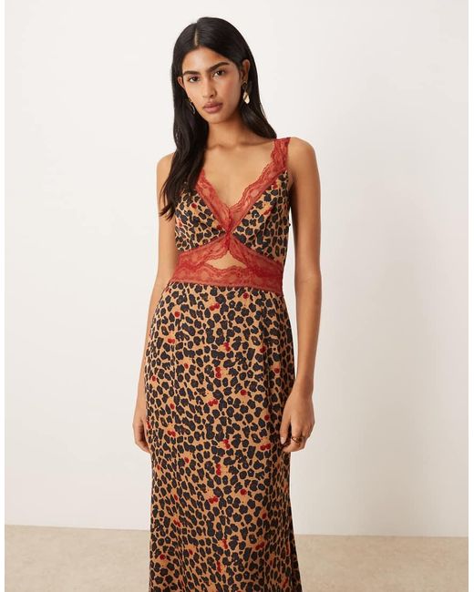 Never Fully Dressed Natural Mimi Satin Red Lace Trim Cut Out Midaxi Dress Cherry -multi