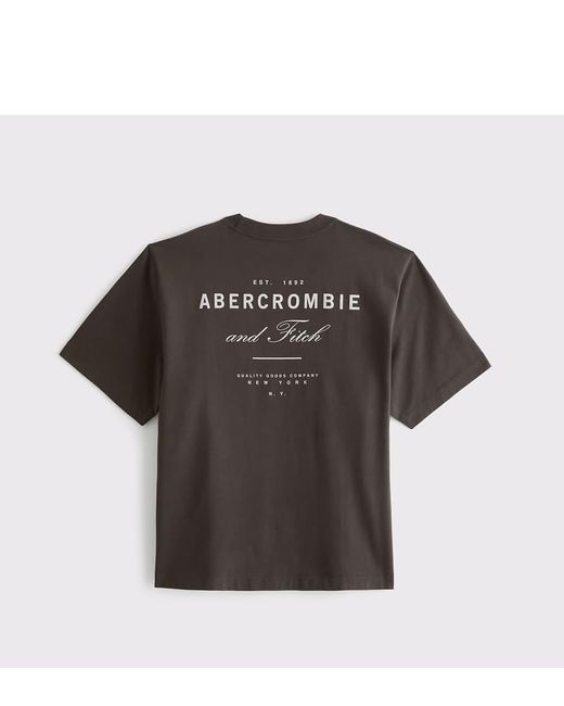 Abercrombie & Fitch Brown Tall Premium Heavyweight 2.0 Logo Tee for men