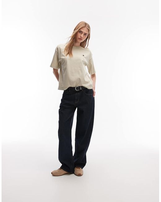 Carhartt Natural Nelson T-shirt