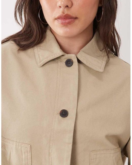 ASOS Natural Asos Design Curve Short Cotton Harrington Jacket
