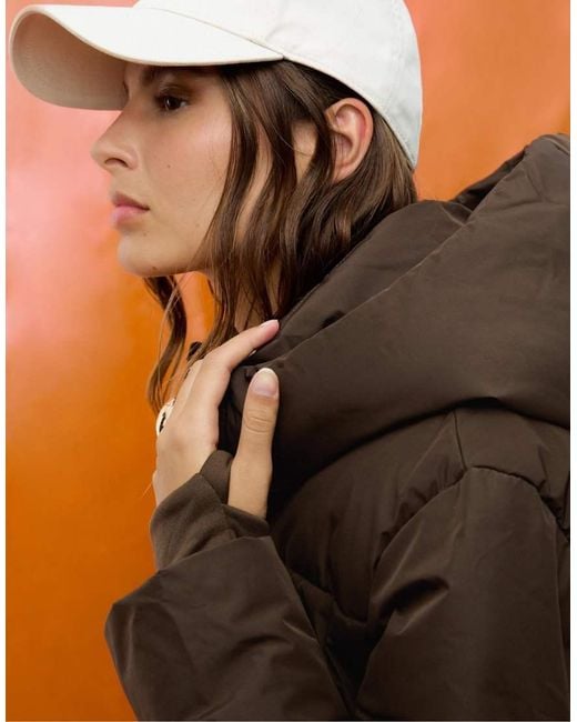 Stradivarius Basic Gewatteerd Jack Met Capuchon in het Brown