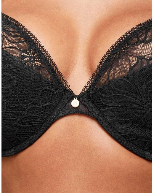 KBX Black Knickerbox Alice Padded Plunge Bra