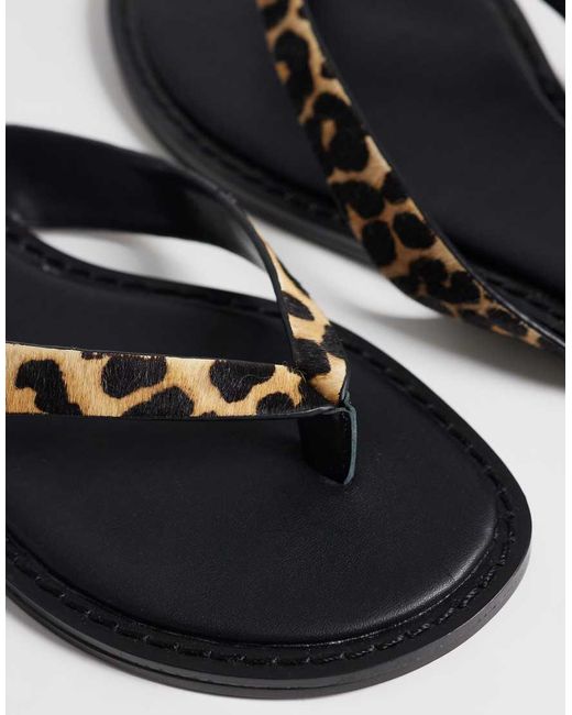 ASOS Blue Fenna Premium Leather Flip Flops