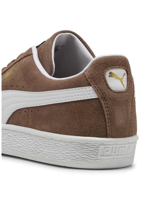 PUMA Brown Suede Classic Sneakers