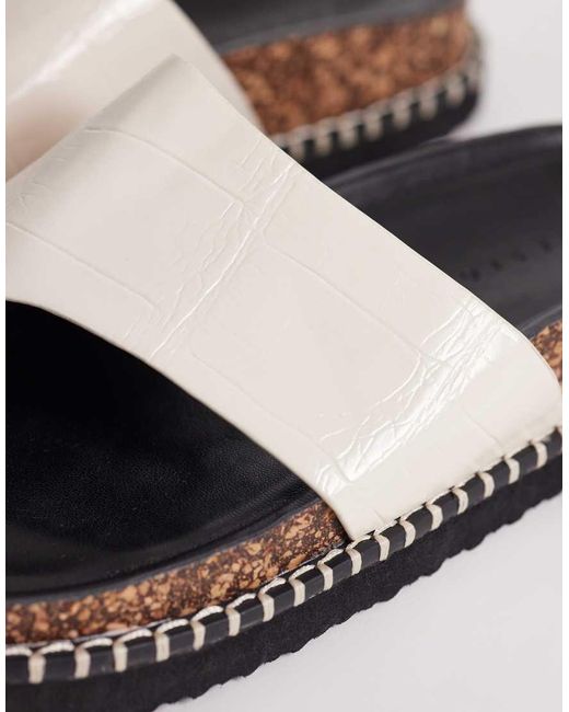 ASOS Multicolor Floris Toe Loop Flat Sandals
