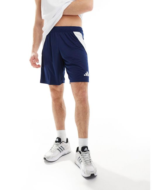 Adidas Originals Blue Adidas Football Tiro 24 Shorts for men