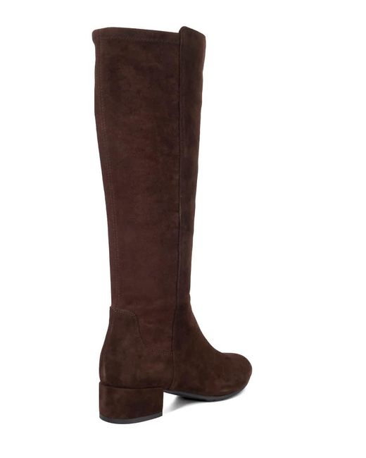 Dune Brown Wide Fit Wf Tayla Knee High Boots