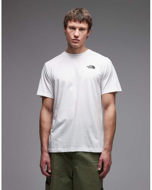 The North Face Gray Monte Backprint T-shirt for men