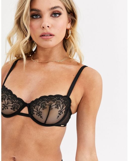 Bluebella Sheer Embroidered 1/4 Cup Bra in Black | Lyst