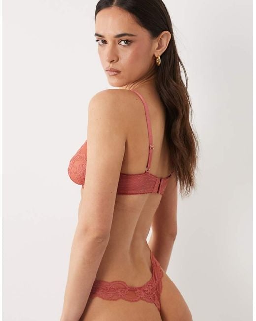 ASOS Brown Lola Lace Thong