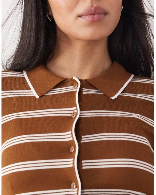 Mango Brown Knitted Polo Cardigan