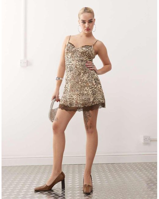 Motel Philena Lace Edge Leopard Print Cami Dress in Natural Lyst UK
