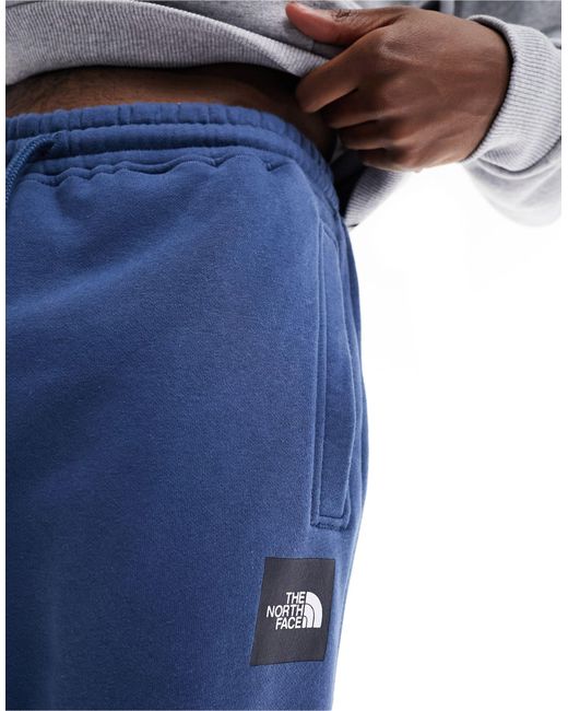 The North Face Blue Box Nse Sweatpants for men