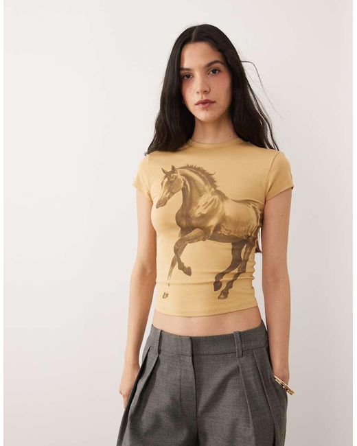 ASOS Brown Short Sleeve Baby Tee With Horse Graphic