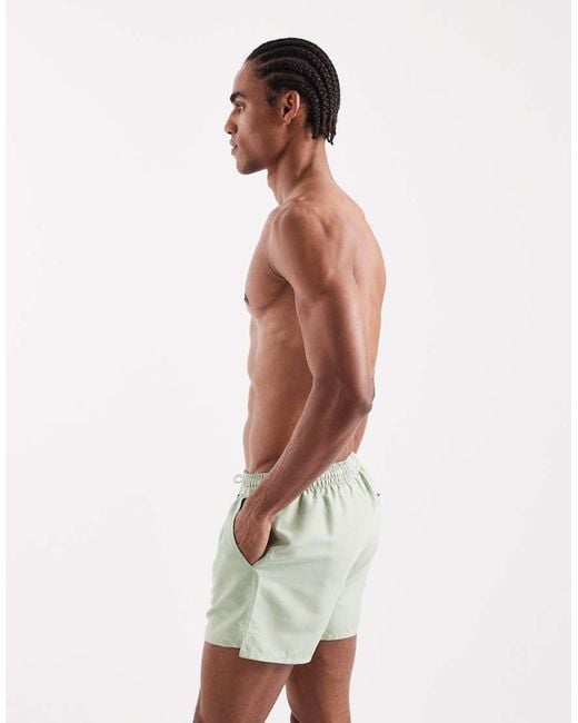 Aray Green Swim Shorts for men