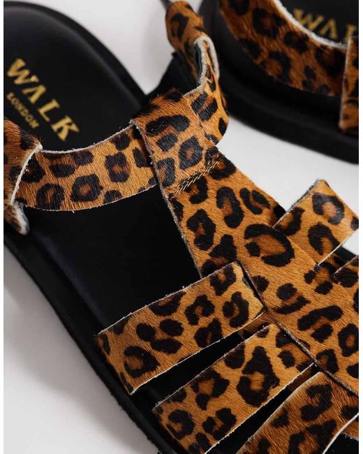 Walk London Brown Sophia Gladiator Sandal