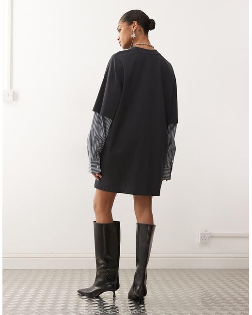 Lioness Black Exclusive 2