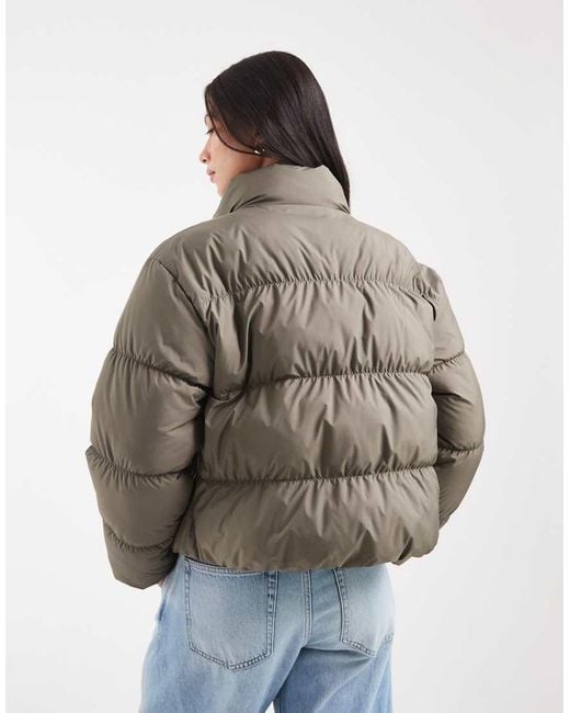 Adidas Originals Brown Short Padded Jacket
