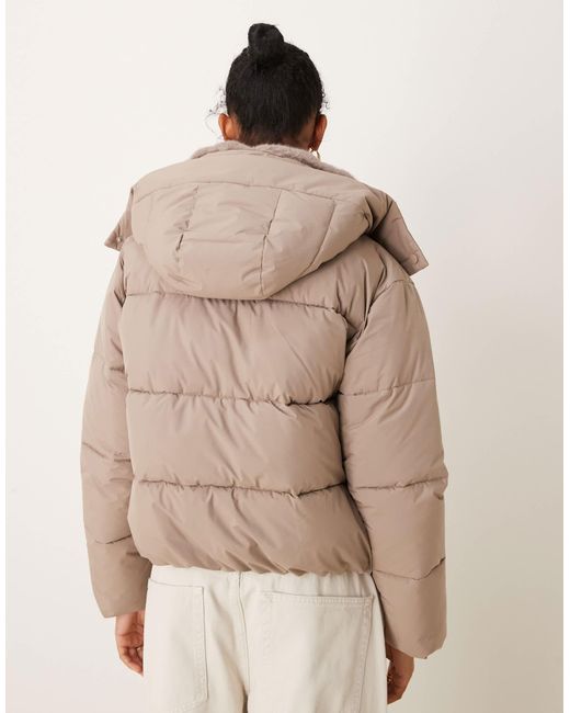 Abercrombie & Fitch Natural – klassische, dicke steppjacke