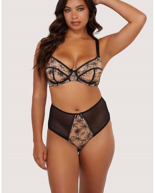 Playful Promises Brown Olivia Contrast Embroidery High Waist Brief