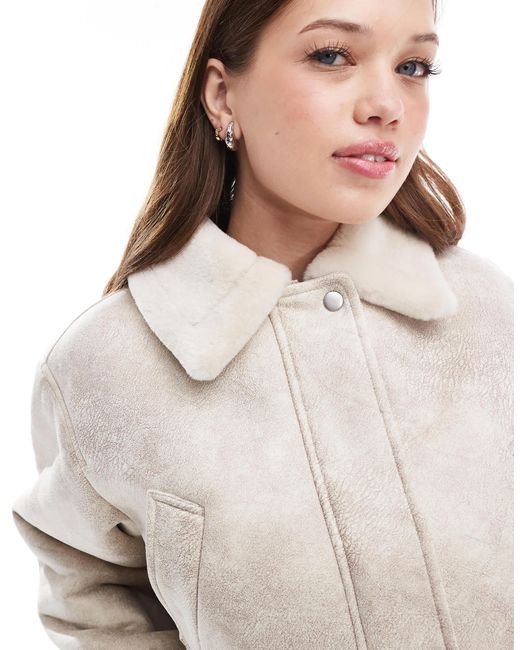 ASOS Gray Top Collar Shearling Jacket