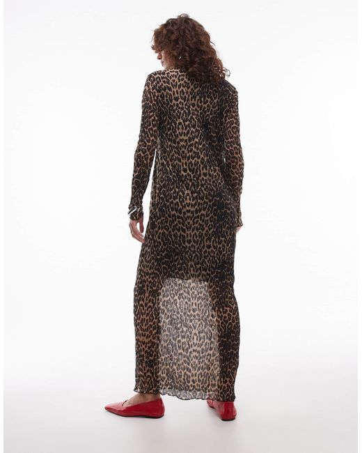 TOPSHOP Brown – transparentes, hochgeschlossenes und langärmliges kleid mit leopardenprint und knitterstruktur
