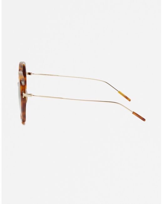 Jimmy Fairly Brown – the marilu – eckige oversize-sonnenbrille