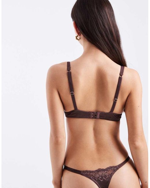 DORINA Brown Origins Shiny Micro Push Up Plunge Bra