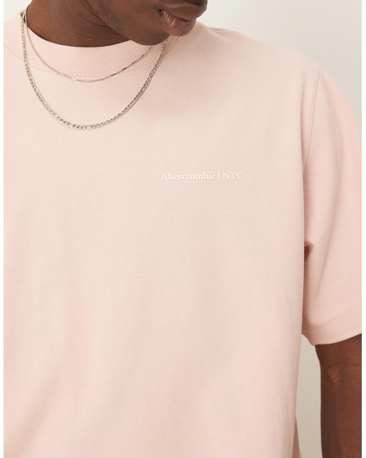 Abercrombie & Fitch Natural Premium Logo T-shirt for men