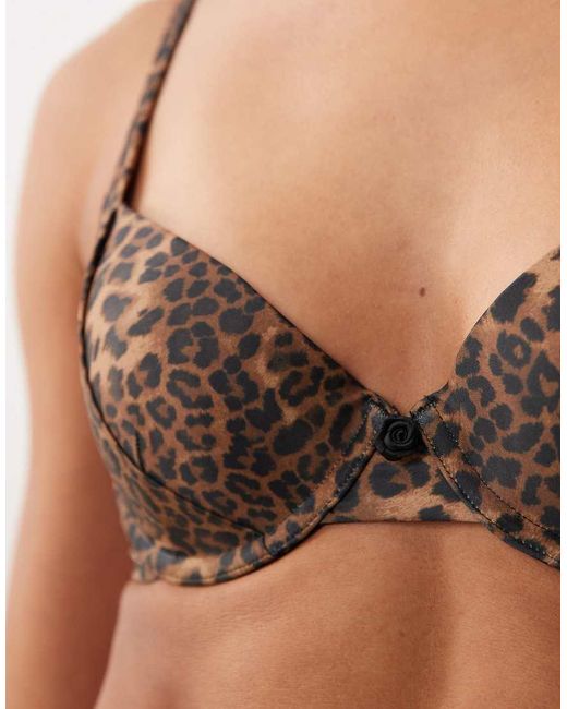 ASOS Brown Kitty Sintra Padded Push Up Underwired Bikini Top