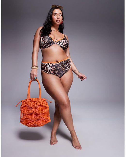 ASOS Multicolor Asos Design Curve Leo Contrast Binding Bikini Bottom