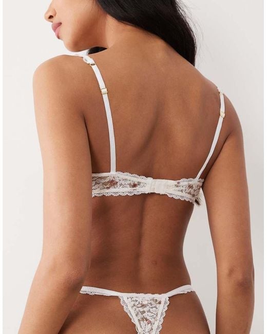 Wild Lovers Brown Margot Underwired Bra