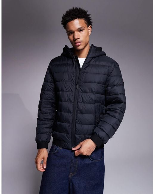 Boss – odenis – wattierte jacke in Blue für Herren