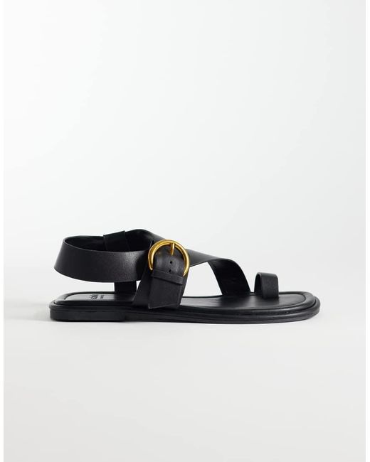 Tanvi di Schuh in Black