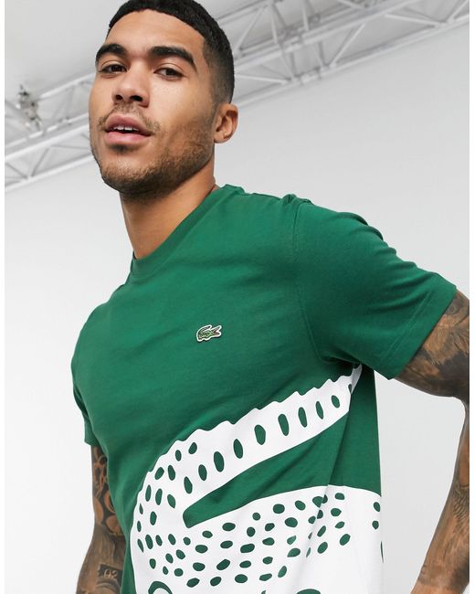 Lacoste T-shirt Met Grote Krokodillenprint in het Groen voor heren | Lyst NL