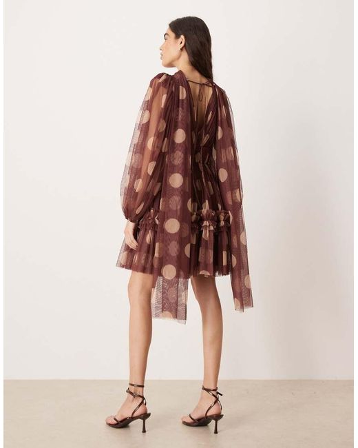 LACE & BEADS Brown Tulle Scarf Neck Mini Dress