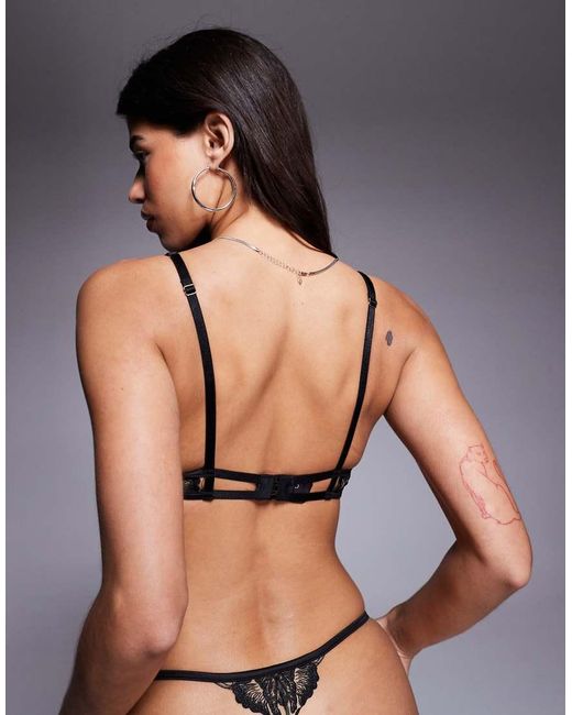 Bluebella Black Morella Wired Sheer Bra