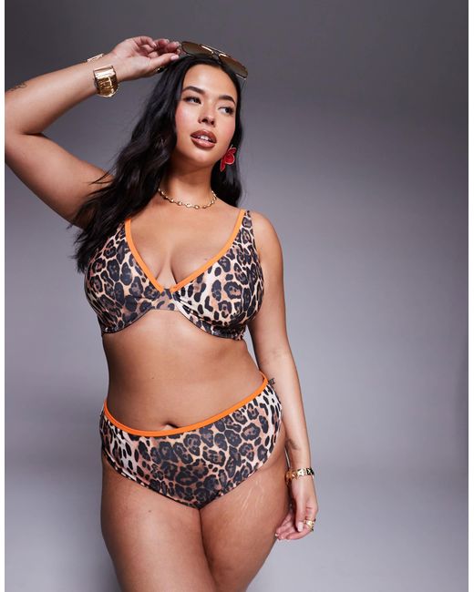 ASOS Multicolor Asos Design Curve Leo Contrast Binding Bikini Bottom