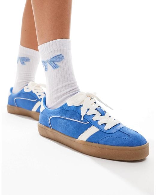 Stradivarius Blue Trainer