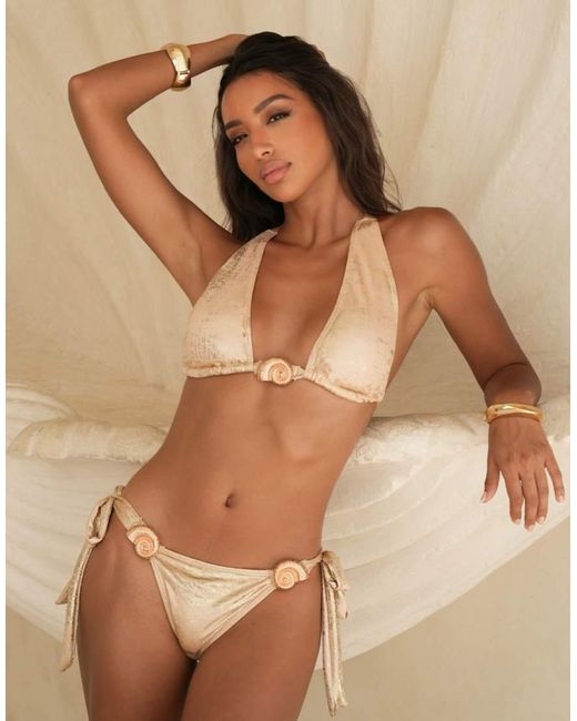 Moda Minx X Alejandra Vidal in het Brown