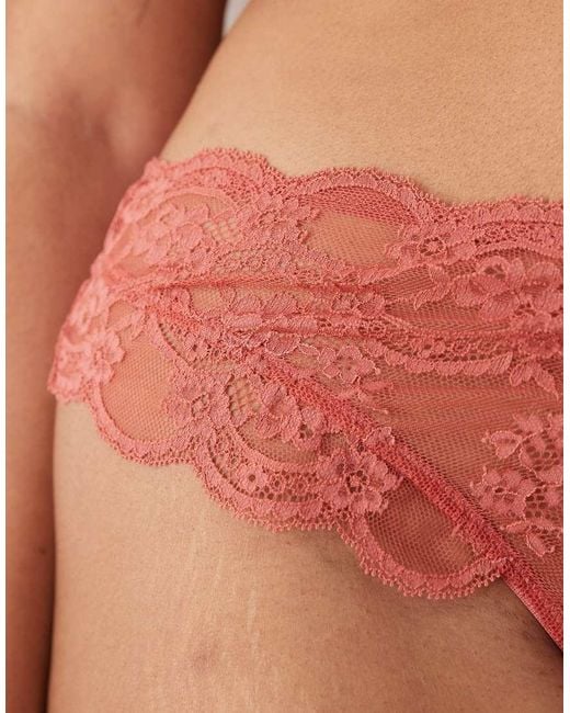 ASOS Orange Asos Design Curve Lola Lace Lingerie Thong