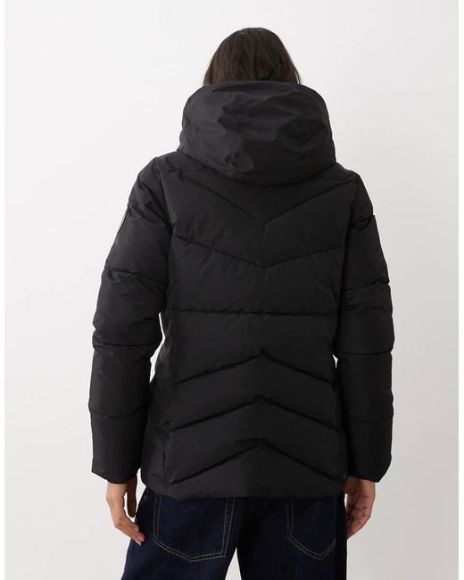 Dare 2b Black Lustre Waterproof Insulated Jacket