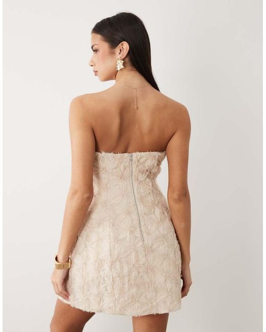 Bardot Natural Karoline Bandeau Floral Applique Mini Dress